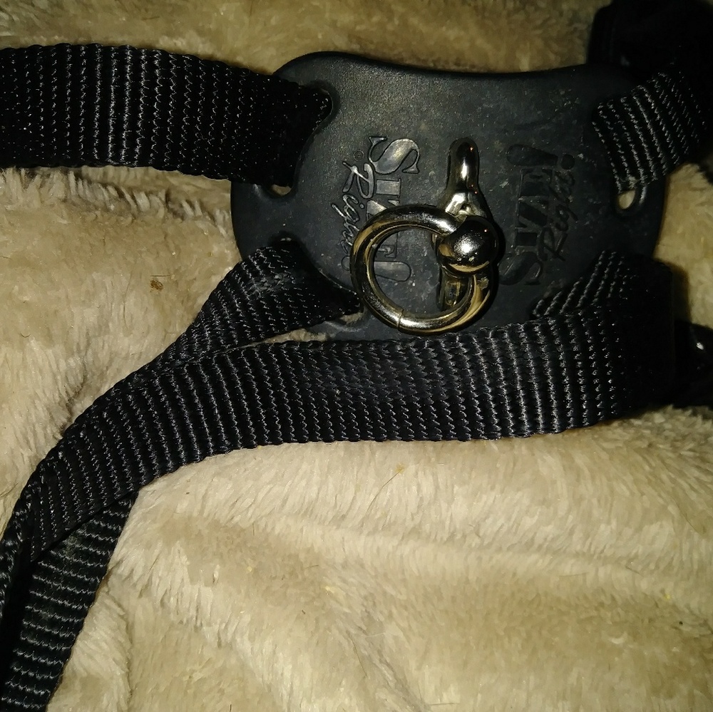 Harness